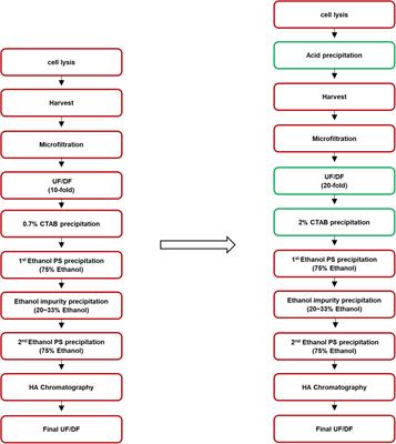 Quality Improvement of Capsular Polysaccharide in Streptococcus pneumoniae by Purification Process Optimization